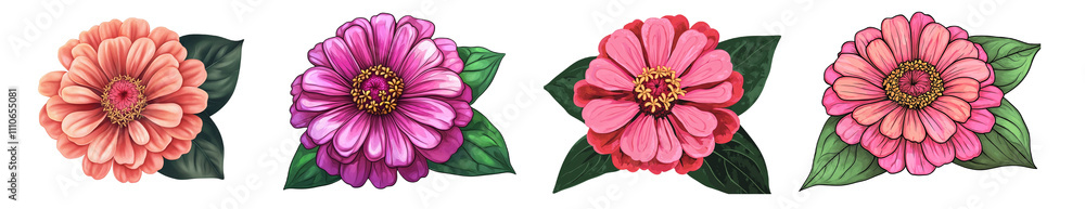 A clipart of a zinnia flower , transparent, png , vector design. A clipart of a zinnia flower , transparent, png , vector design.