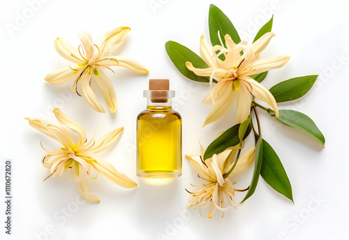 A bottle of oil surrounded by delicate yellow flowers and green leaves, suggesting a natural, aromatic essence for wellness or beauty purposes. Ylang Ylang The Essential Oil photo