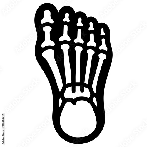 Foot and toe x-ray