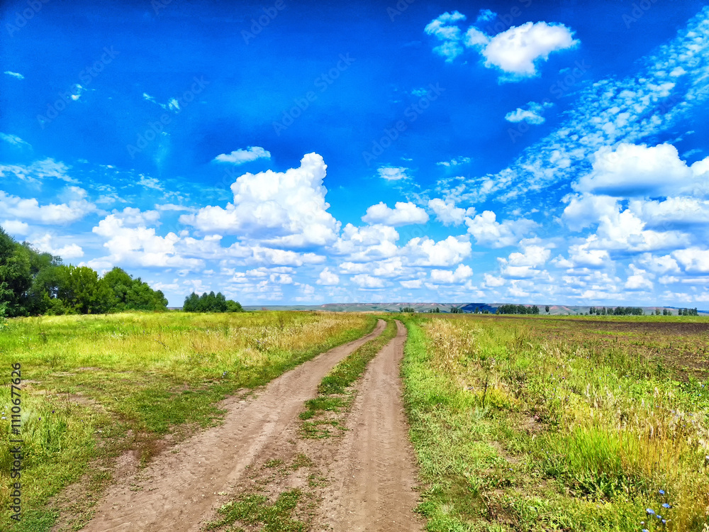 Scenic dirt road through lush green fields under a vibrant blue sky with fluffy white clouds in summer