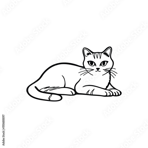 cat vector art and illustration