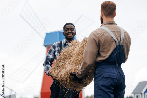 Two farmer workers carry hay together in front of red windmill. Rural scenery with additional farm buildings, depicting collaborative agricultural effort photo