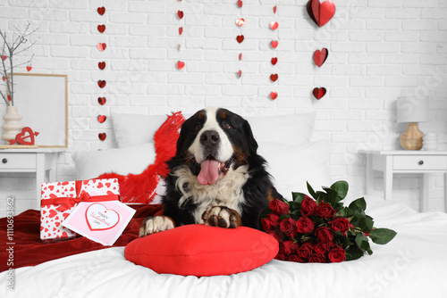 Bernese Mountain dog with g...