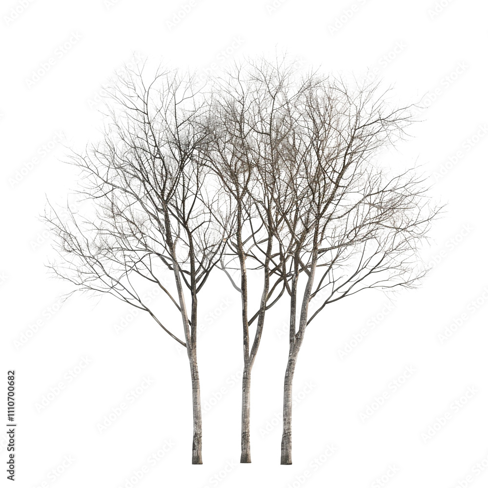 Naklejka premium Bare Trees in Winter