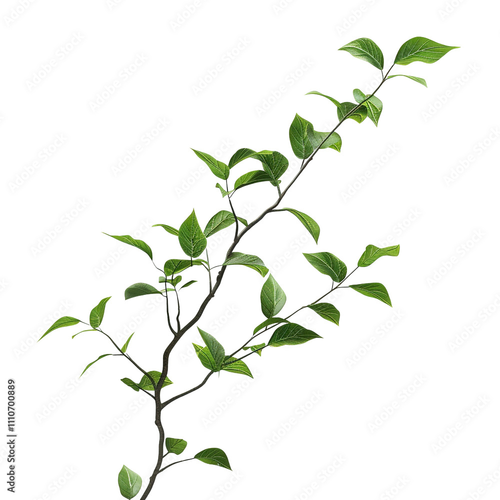 Green Branch with Lush Leaves Green Branch with Lush Leaves