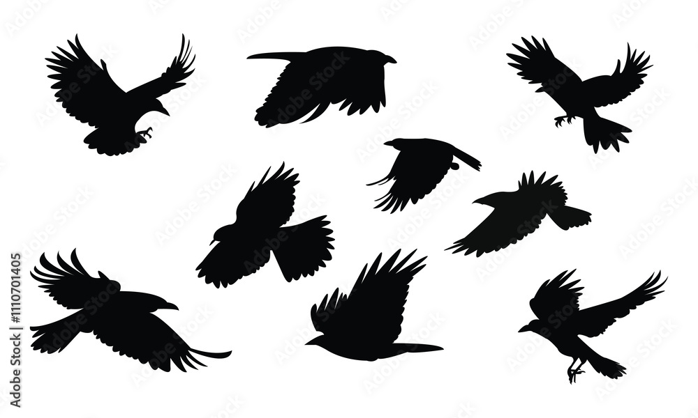 Obraz premium Flying Crow Bird Silhouette Design And Vector Illustration.