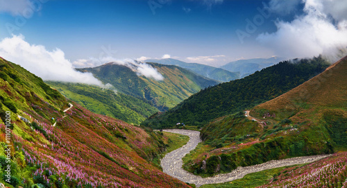 Natural Beauty of Dzukou Valley, Nagaland
