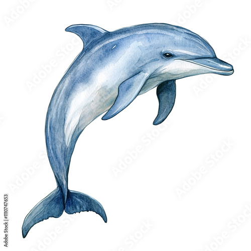 Elegant Dolphin Watercolor Painting photo