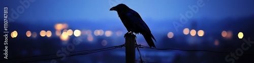 Silhouette of a black raven on a telephone pole against a deep blue twilight sky, city lights faint in the background photo