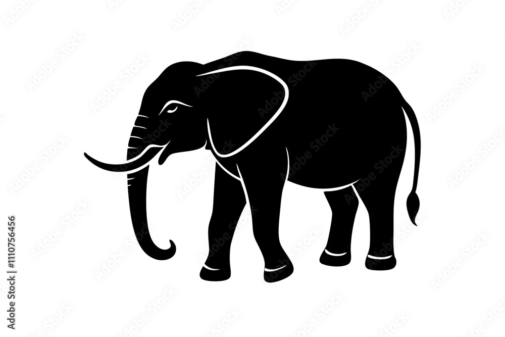 Obraz premium elephant isolated on white background