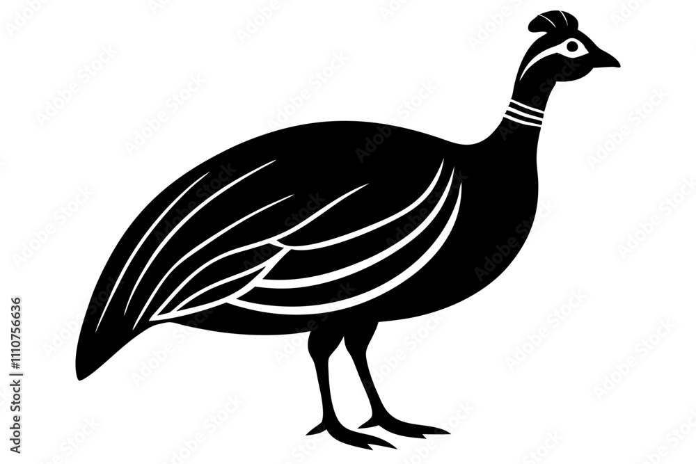 Fototapeta premium duck isolated on white