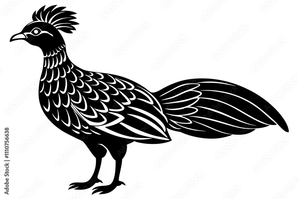 Fototapeta premium rooster isolated on white background