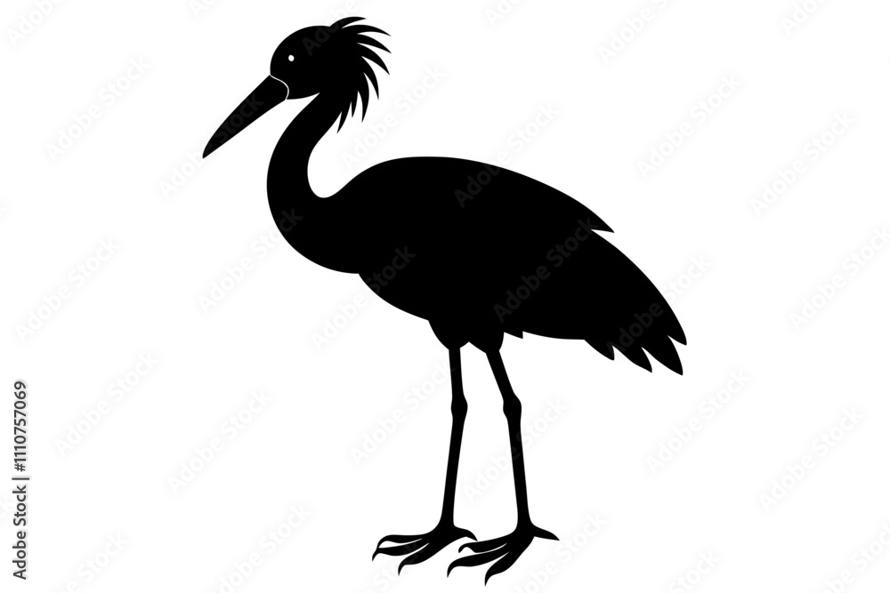 Obraz premium crowned cranes