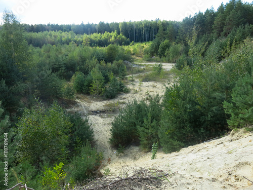 steep sandy cliff in the Lopatinsky quarries in the Moscow region photo