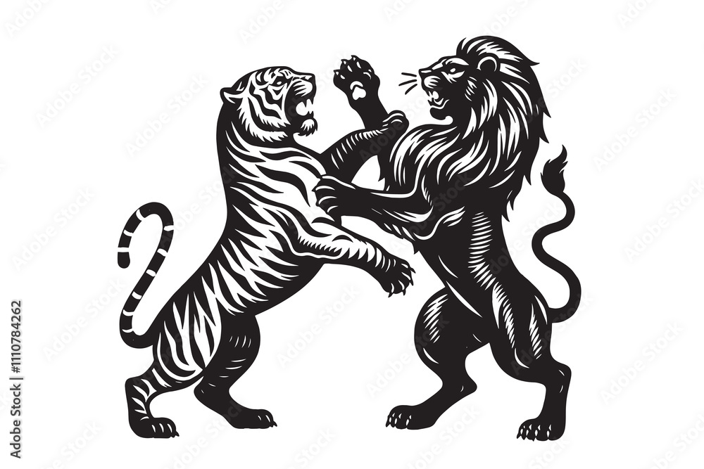 Obraz premium Lion and a tiger standing on their hind legs in an intense fight. Black vintage engraving illustration line art, isolated, cut out, tattoo, print, embelm