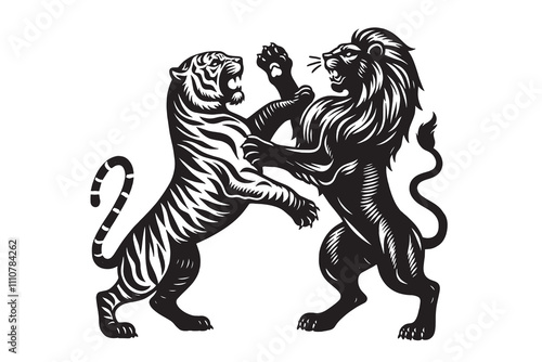  Lion and a tiger standing on their hind legs in an intense fight. Black vintage engraving illustration line art, isolated, cut out, tattoo, print, embelm