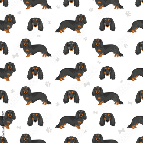 Dachshund long haired dog seamless pattern. Different coat colors set.  Vector illustration