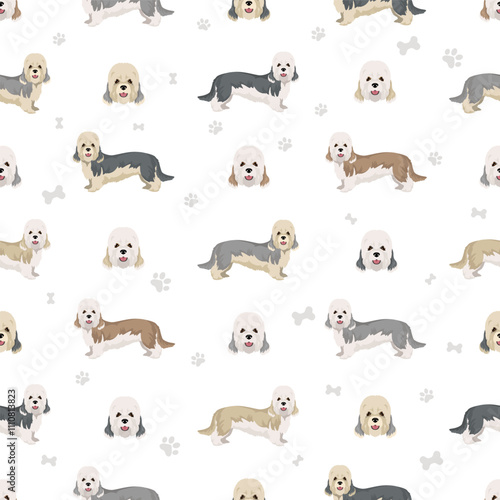 Dandie dinmont terrier seamless pattern. Different poses, coat colors set.  Vector illustration photo