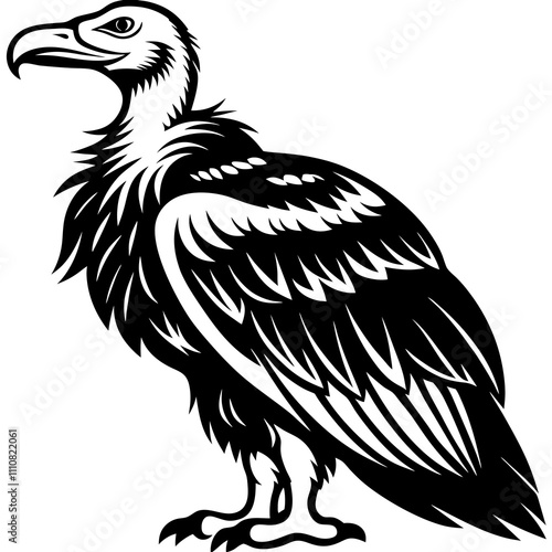 vulture silhouette vector illustration