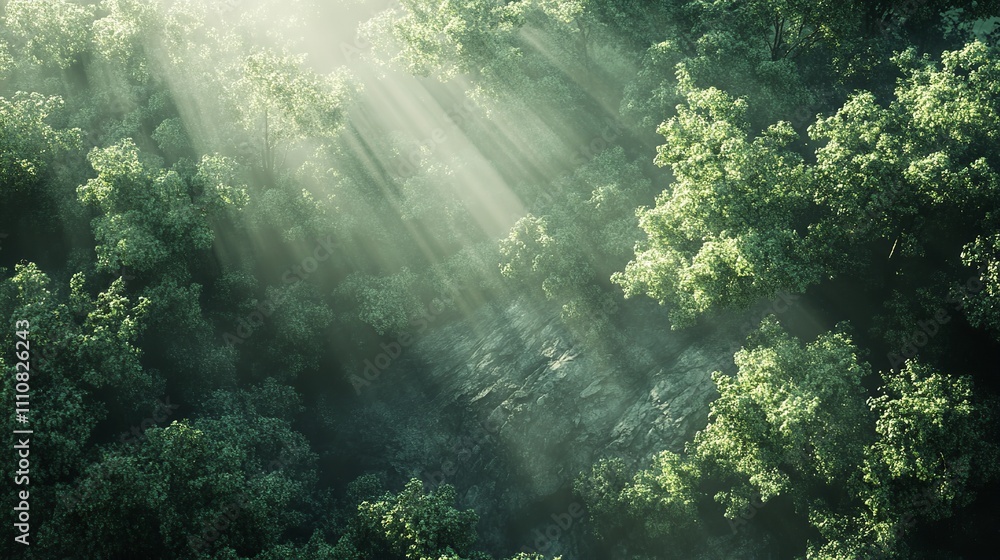 Top View of Forest Daytime Sunlight Anime Style Background
Top View of Forest Daytime Sunlight Anime Style Background