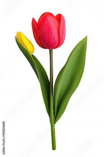 Vibrant Red Tulips Against Grey Background with Yellow Accent