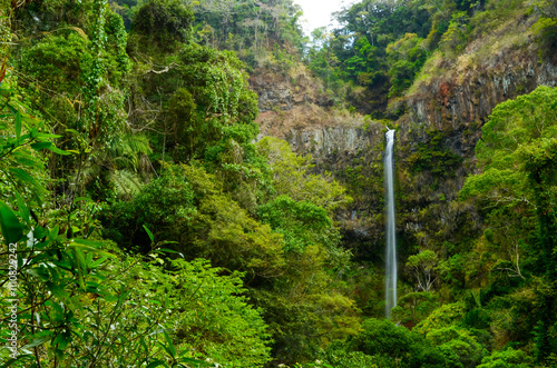 Water fall in a tropical evergreen forest in Mountain d'Ambre Madagascar