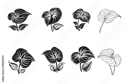 Set of Anthurium vector silhouette line art  photo