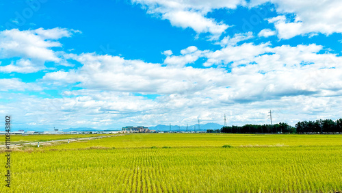 田舎風景　田んぼと青空　新潟県燕市