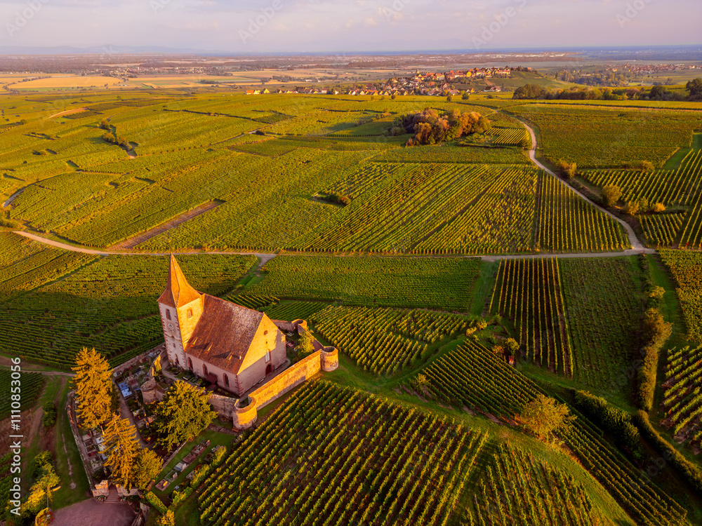 Aerial View on Church amidst Vineyards in Hunawihr Alsace France