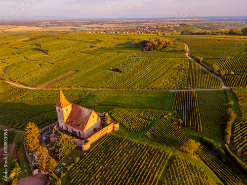 Obraz na płótnie Aerial View on Church amidst Vineyards in Hunawihr Alsace France w salonie