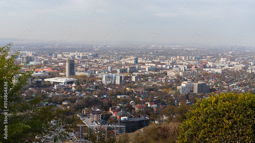 Obraz premium aerial view of the city