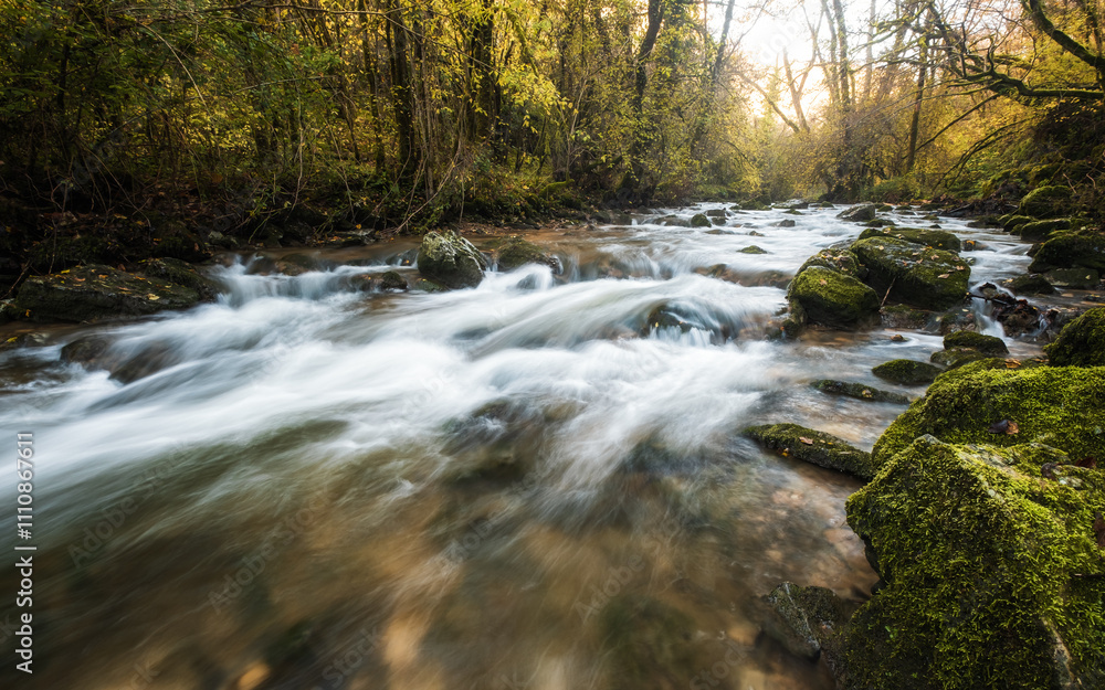 The Alzou river running through a forest of autumn colours near Grammat in the Lot region of France The Alzou river running through a forest of autumn colours near Grammat in the Lot region of France