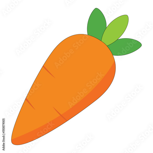 carrot vector Illustration on white background