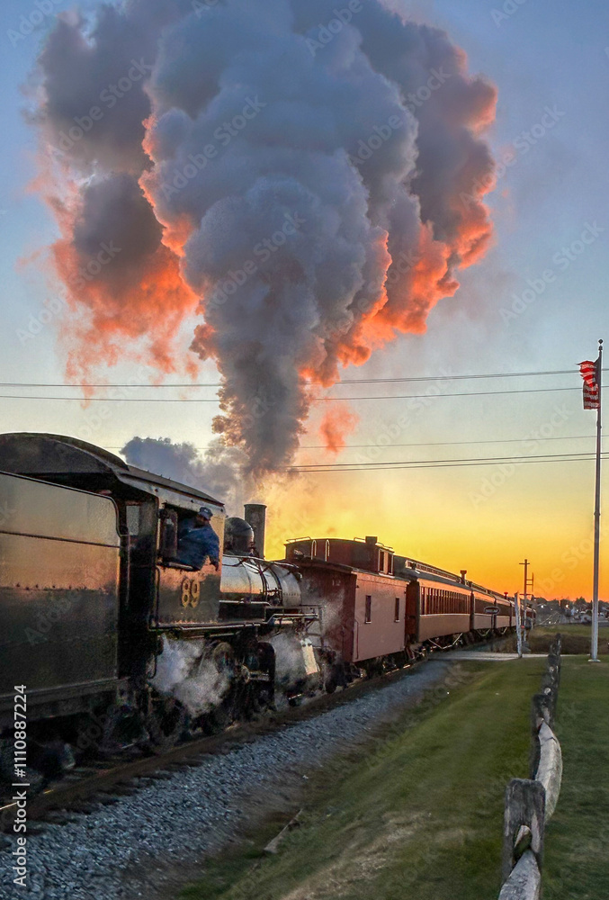 Naklejka premium steam train in the countryside