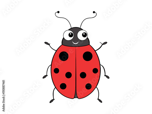 ladybug on white background