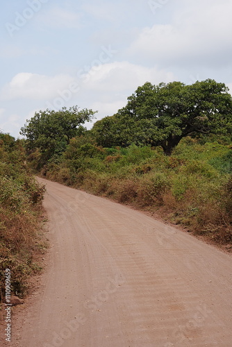 Gravel route in African Lake Manyara National Park in Arusha region in TANZANIA - vertical photo