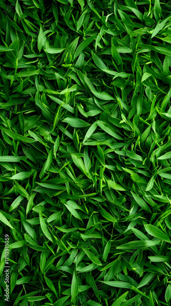 A vibrant, lush layer of green leaves fills the image, showcasing a natural, refreshing texture and color, perfect for nature enthusiasts. A vibrant, lush layer of green leaves fills the image, showcasing a natural, refreshing texture and color, perfect for nature enthusiasts.