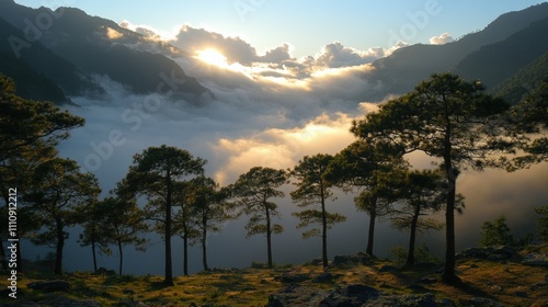 Majestic Sunrise Over Misty Mountains photo