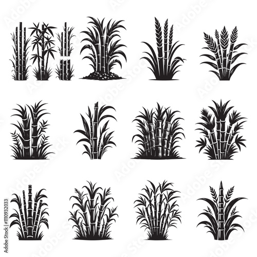 Black Color Sugarcane Silhouette Vector Illustration, Solid White Background.