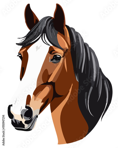 Portrait of a horse head. Beautiful braun horse welsh Cob breed. Graceful purebred equine animal. Flat vector illustration isolated on white background