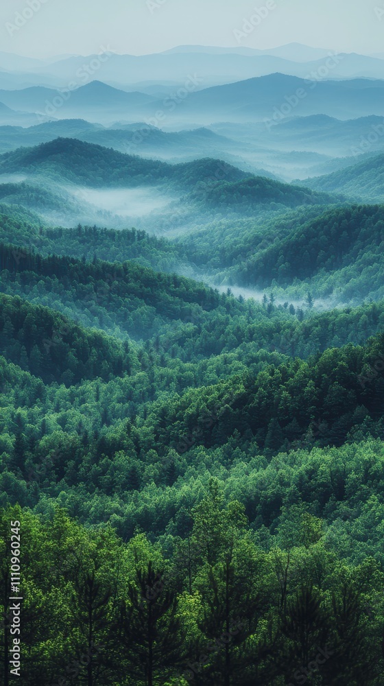 Fototapeta premium Awe-Inspiring Mountain Range Panorama: A Misty Forest Landscape
