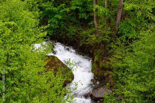 Scenery of mountain stream surrounded by fresh greenery that shines through the sunlight filtering through the foliage. mountain stream in the summer.
