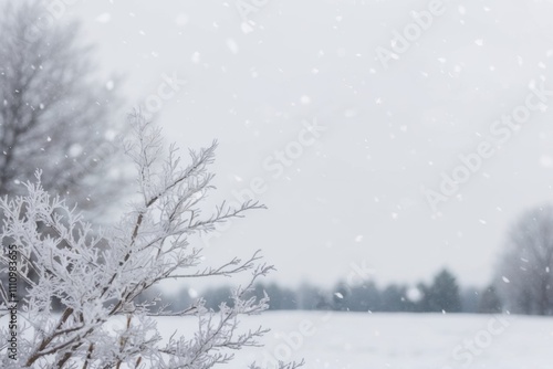 Winter Scene with Snowy Branches and Falling Snowflakes 