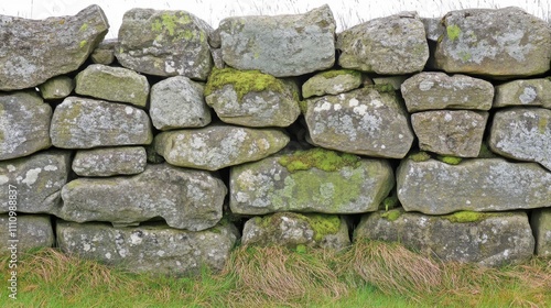 A Stone Wall with Green Moss and Grass