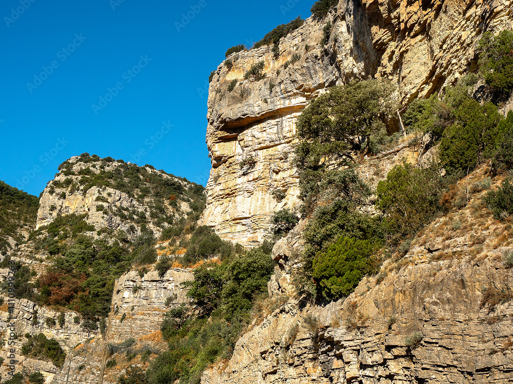 sheer rock face with green and red shrubs stands out against a clear blue sky sheer rock face with green and red shrubs stands out against a clear blue sky