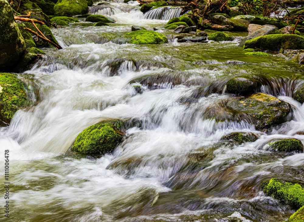 Roaring Fork Stream Cascading Over Moss Covered Boulders, Roaring Fork Nature Trail, Great Smoky Mountains National Park, Tennessee, USA Roaring Fork Stream Cascading Over Moss Covered Boulders, Roaring Fork Nature Trail, Great Smoky Mountains National Park, Tennessee, USA