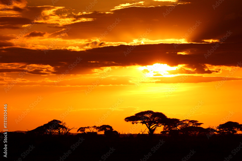 Sonnenuntergang bei Safari in Kenia Ostafrika Sonnenuntergang bei Safari in Kenia Ostafrika