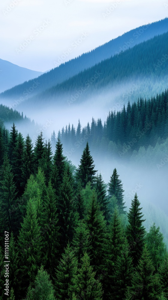Naklejka premium Misty morning over lush evergreen forested mountains, AI