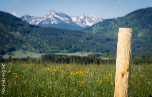 Grüne Wiese und Berge  photo