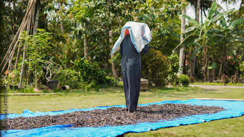 A woman spreads harvested pods on a tarp to dry under the sun. A scene of rural life and agricultural work